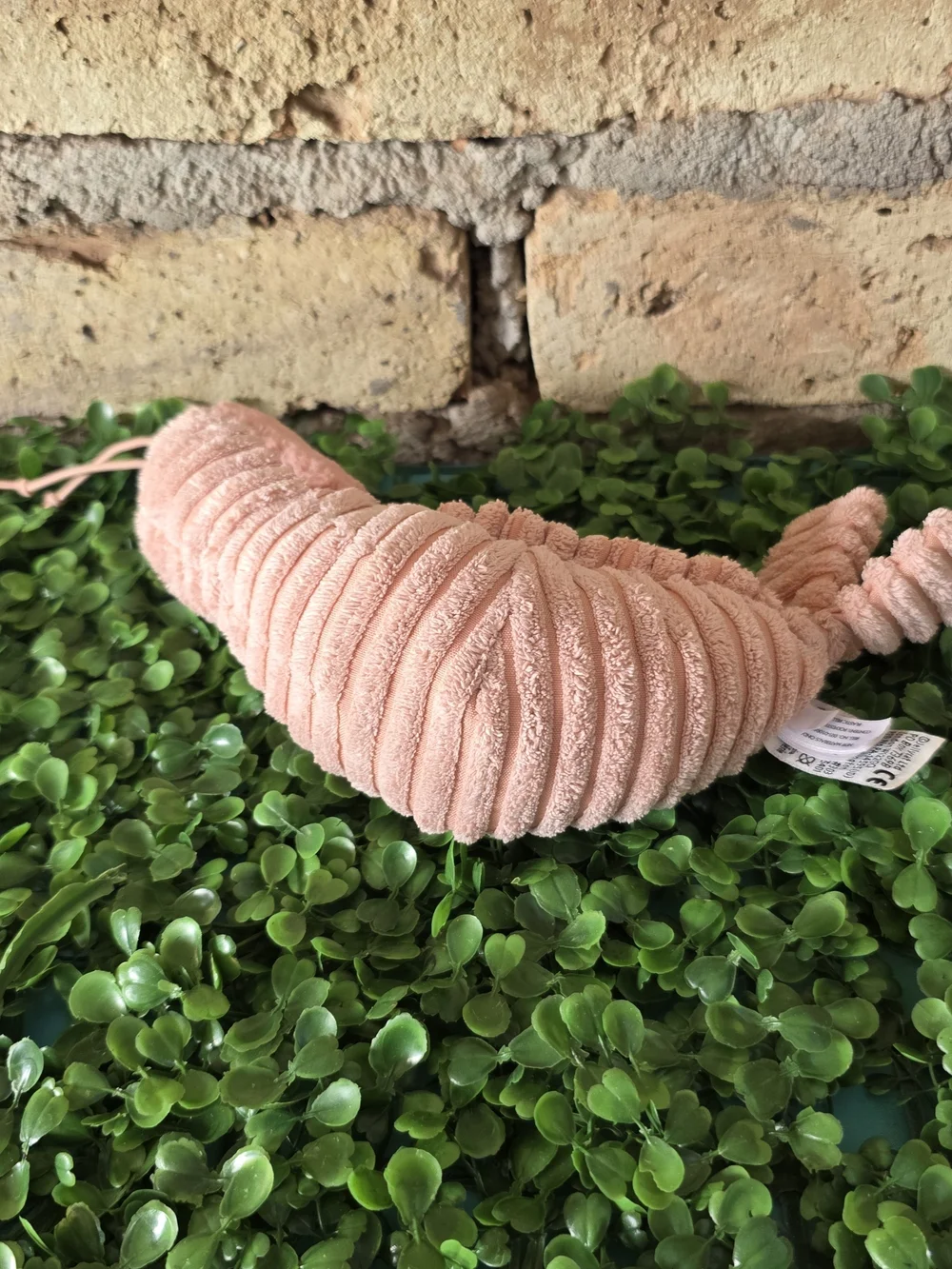 Jellycat ​adorable hard